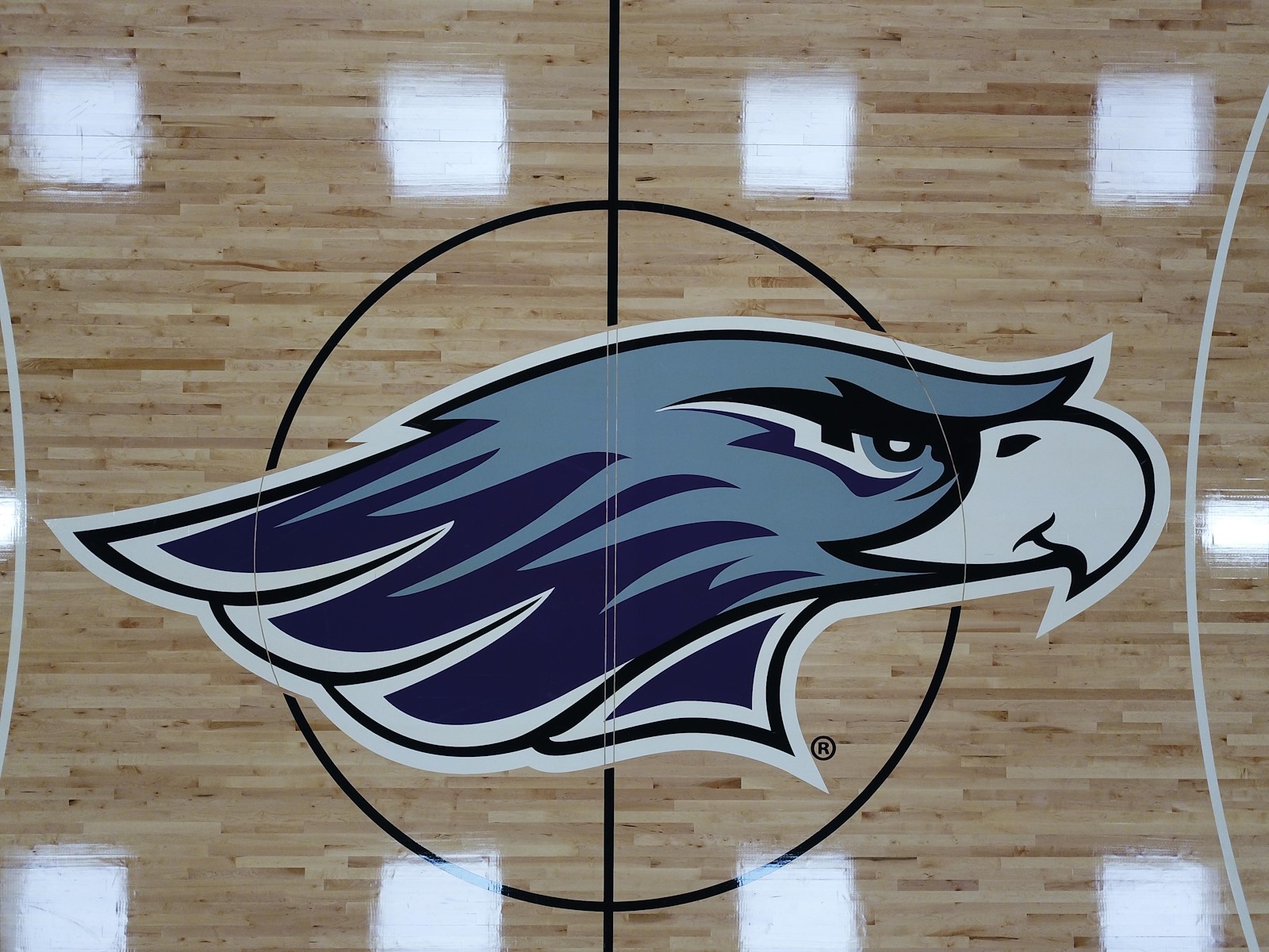 gym floor Logo